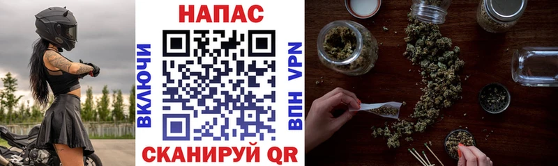 где найти наркотики  Перевоз  Конопля планчик 